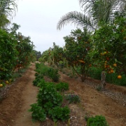 01 - Costa del Pacífico Norte